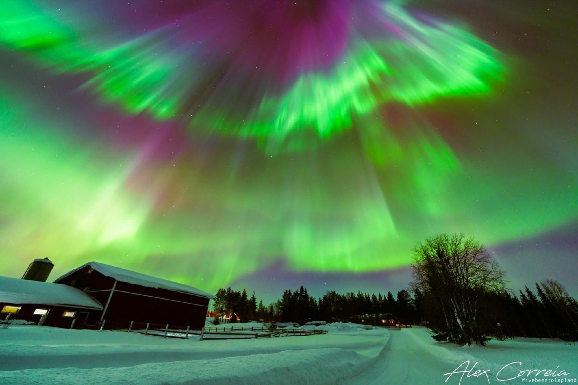 Harjuniemi Villa Kangosjarvi ภายนอก รูปภาพ